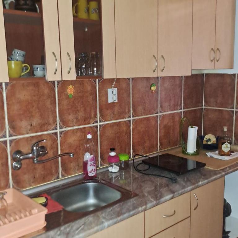 Stan na dan bb - Apartman sa 1 Spavaćom Sobom - 8