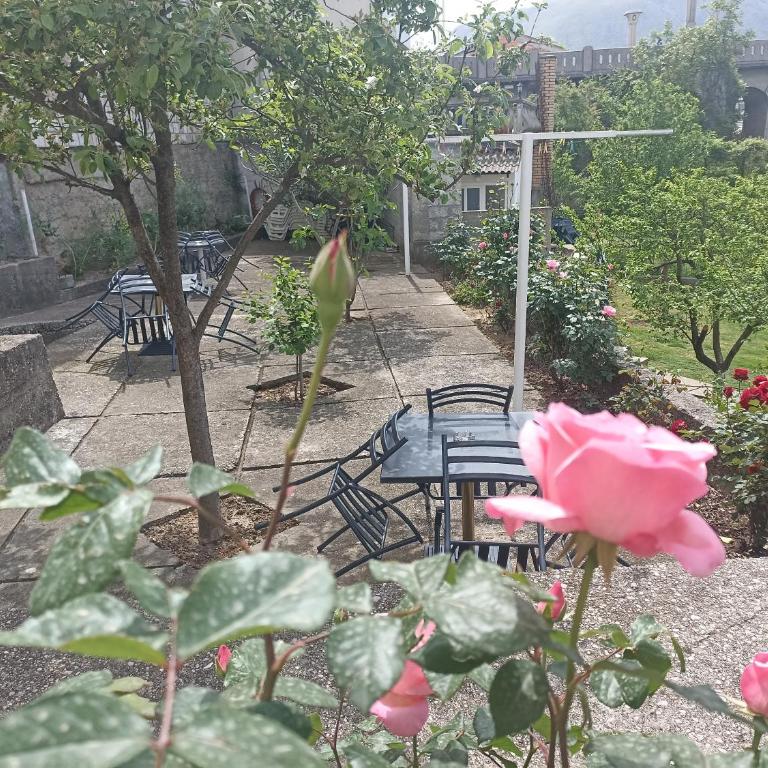 Apartments Aldi - Apartment - Ground Floor - 18