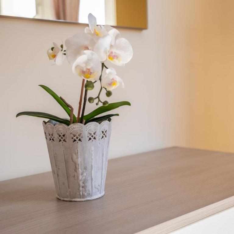 Bright apartment in the city center - Spacious & cozy - Appartamento con 2 Camere da Letto e Balcone - 12