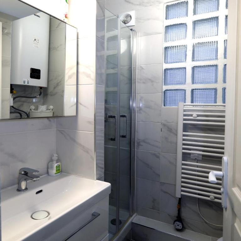 APPARTEMENT AU CŒUR DE MARAIS DANS CENTRE de PARIS - Appartement 1 Chambre - 9