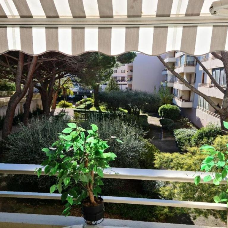 Le Nautilus - Apartment with Garden View - 2