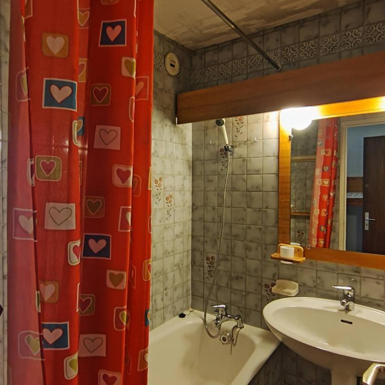 Studio cabine 4 pers, pied des pistes, vue sud - FR-1-297-275 - Apartment - 18