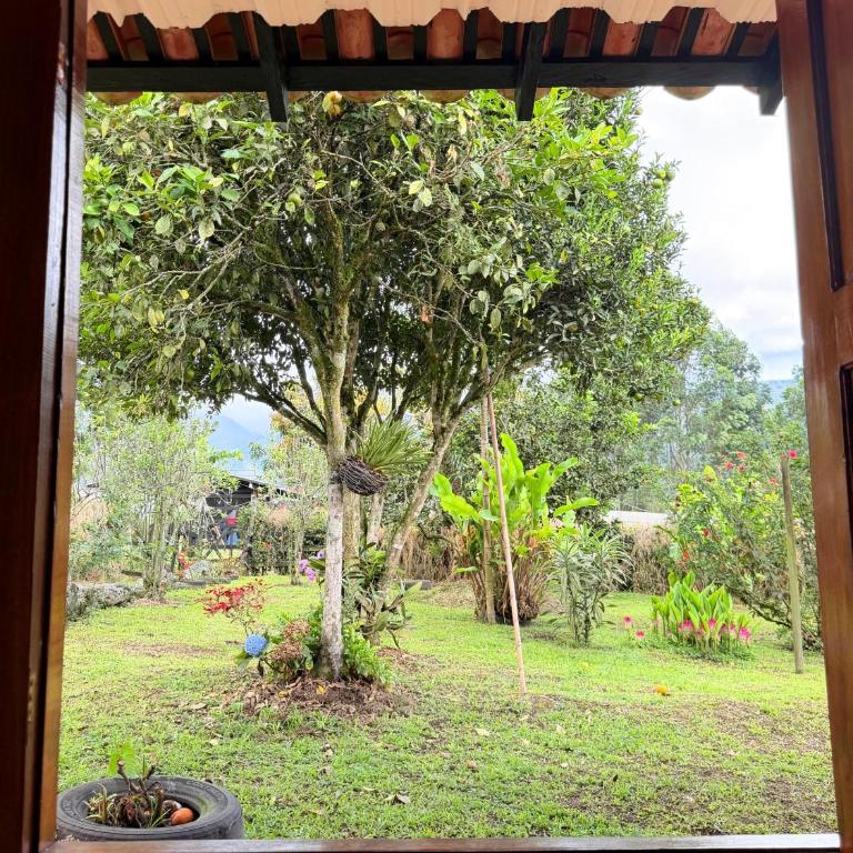 Finca Hostal Ágora - Double Room with Private Bathroom - 1