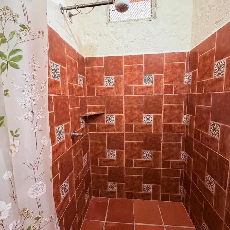 Finca Hostal Ágora - Family Room with Private Bathroom - 4