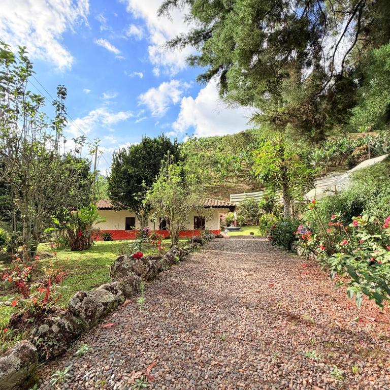 Finca Hostal Ágora - Villa de 3 dormitorios - 5