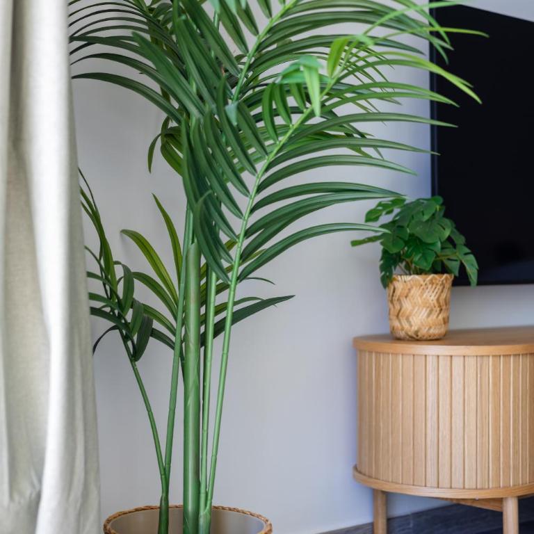 Casa de Sarina - Beautiful apartment w direct access to the pool - Apartment mit Poolblick - 5