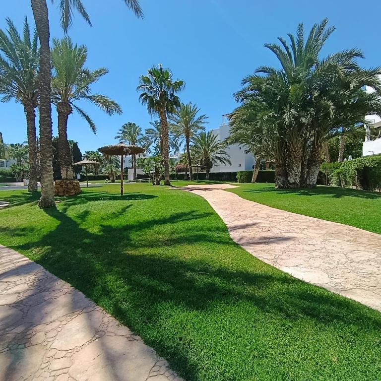 LAS MIMOSAS De PUERTO REY con PISCINA, TERRAZA Y BARBACOA - Apartamento de 1 dormitorio - 32