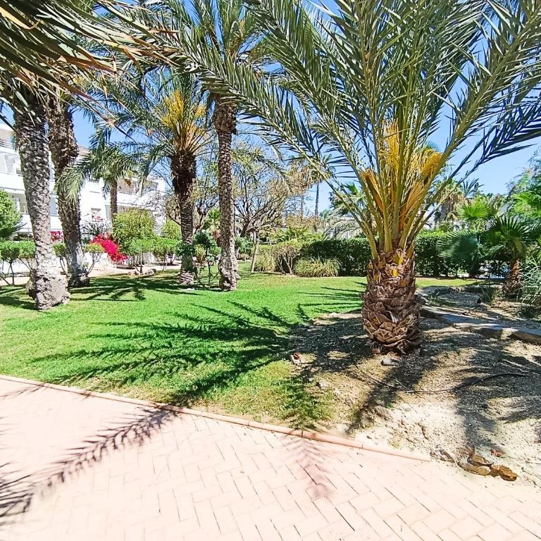 LAS MIMOSAS De PUERTO REY con PISCINA, TERRAZA Y BARBACOA - Apartamento de 1 dormitorio - 34