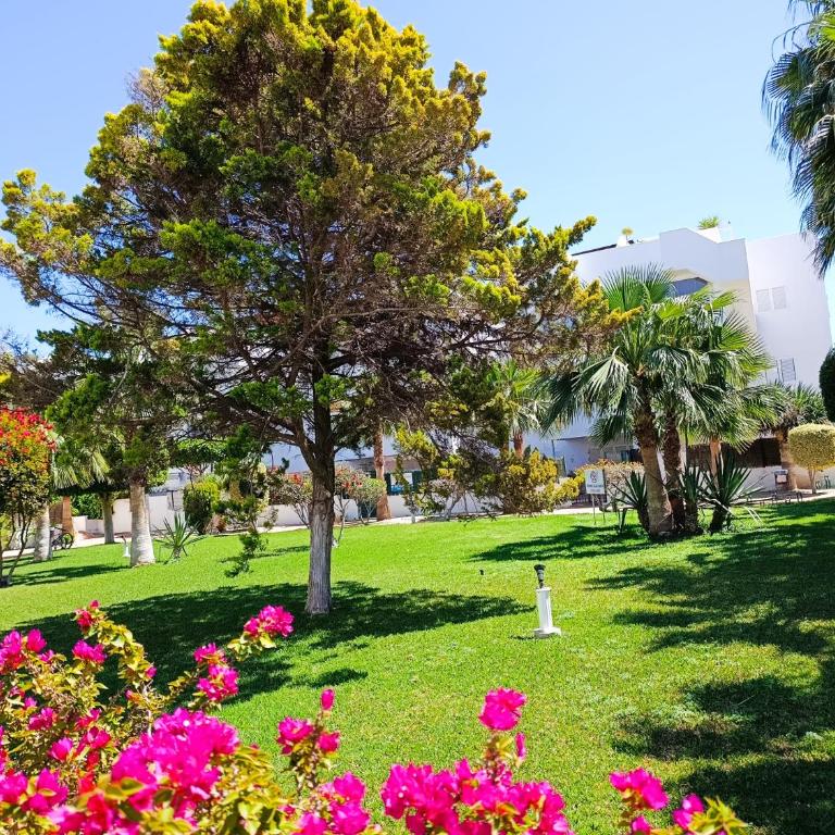 LAS MIMOSAS De PUERTO REY con PISCINA, TERRAZA Y BARBACOA - Apartamento de 1 dormitorio - 36