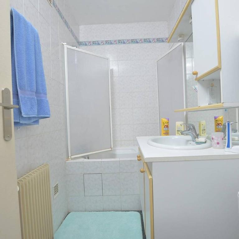 Le Scamandre, Appartement 2 pièces, proche de la plage au Boucanet - Appartamento con 1 Camera da Letto - 4