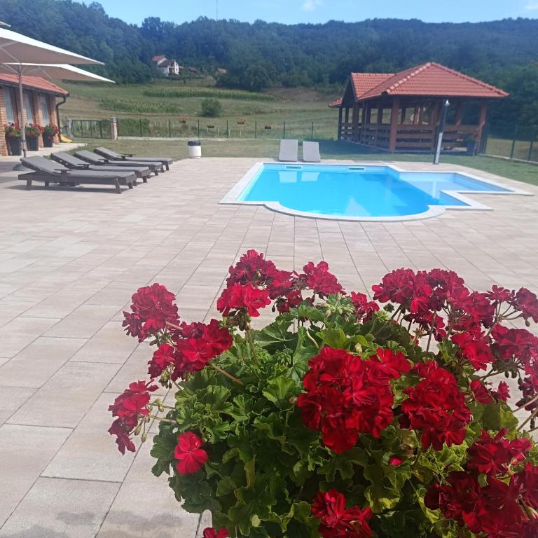 Vikendica Danilo - Vila sa 1 Spavaćom Sobom - 2