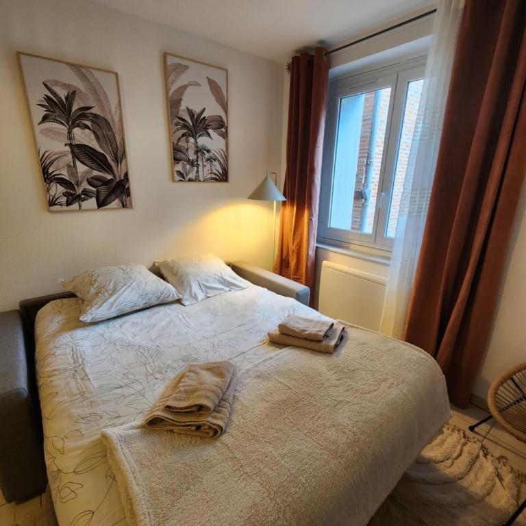 Le petit marché de Sainte Cécile- Centre historique Albi - Appartement 1 Chambre - 10