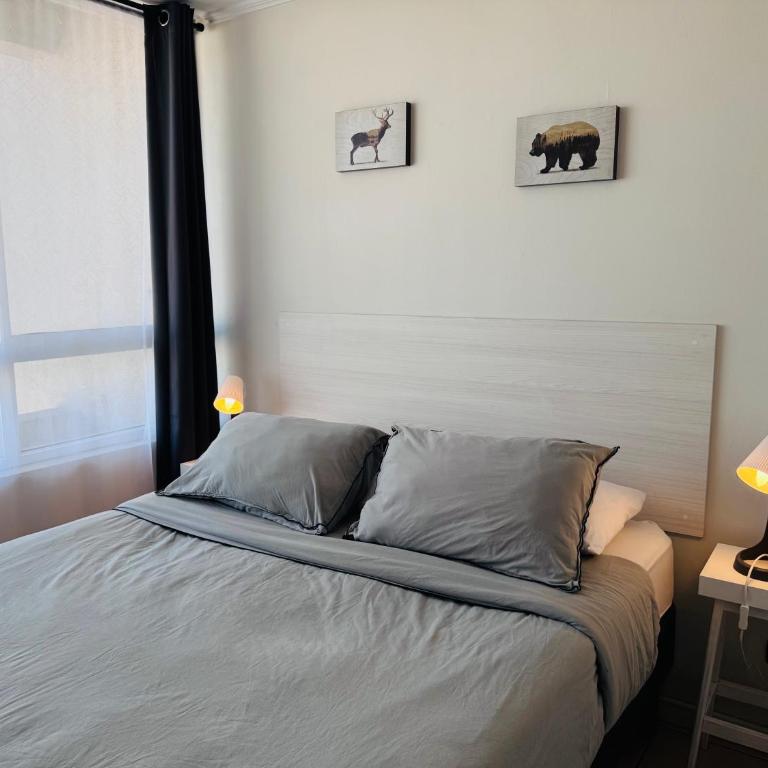 Cómodo Apartamento en Santiago Studio - One-Bedroom Apartment - 2
