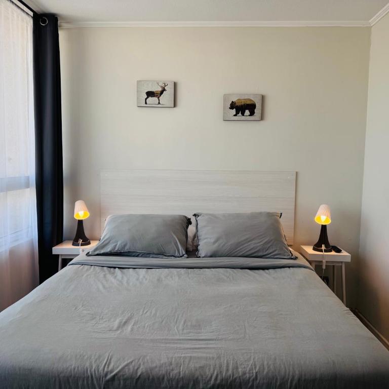 Cómodo Apartamento en Santiago Studio - One-Bedroom Apartment - 1