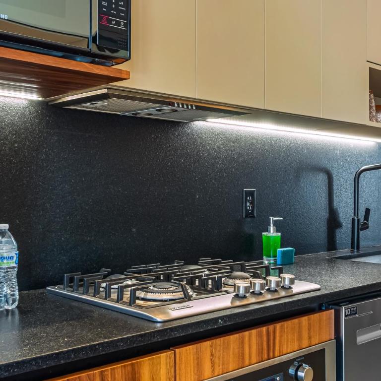 Luxury condo with shared rooftop pool and lounge, private washer/dryer - Vacation Home - 8