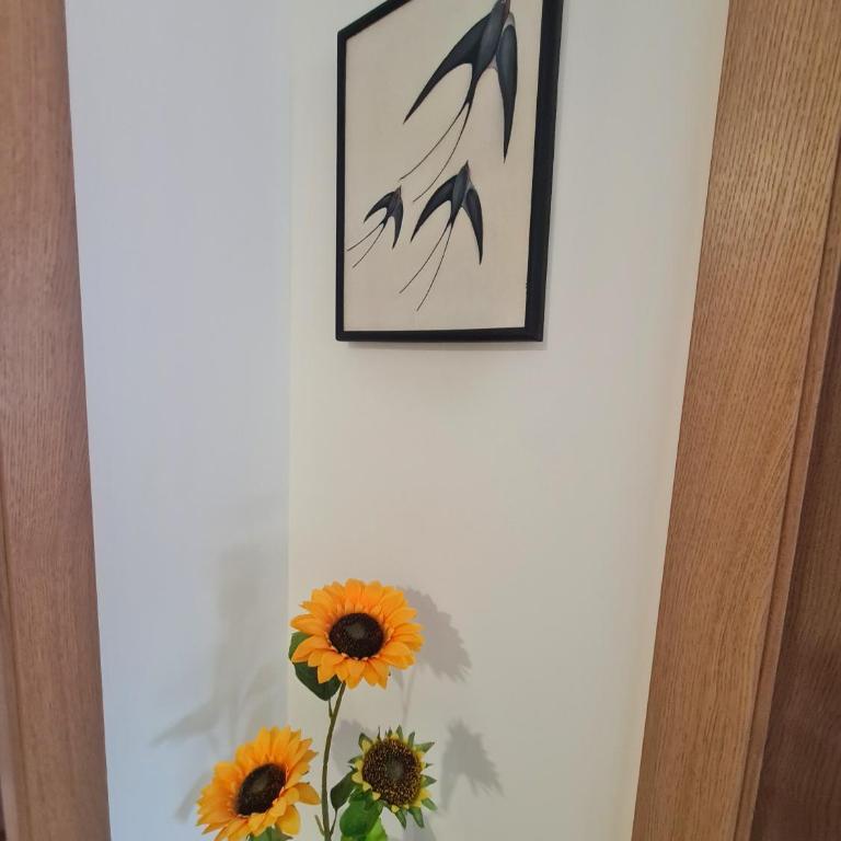 Lasta Apartman Sokobanja - One-Bedroom Apartment - 15