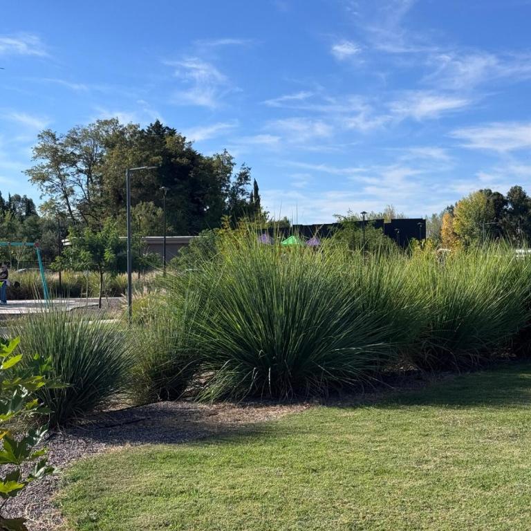 Departamento en barrio privado Vistalba Mendoza - Apartment with Mountain View - 6