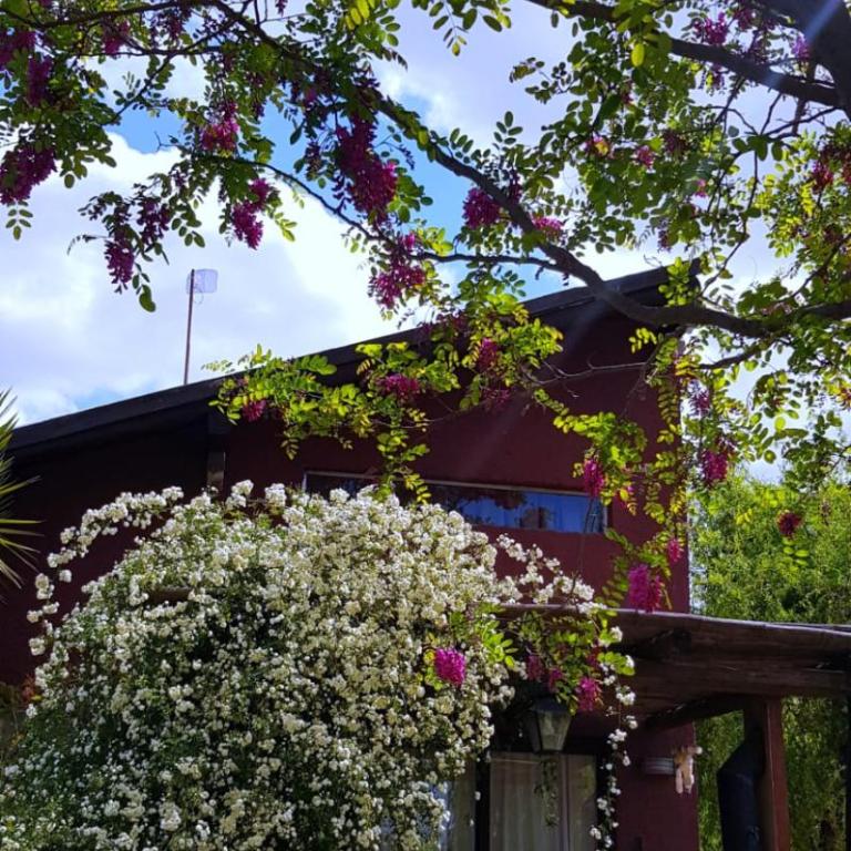 LAS GARDENIAS Cabañas - One-Bedroom Cottage - 1