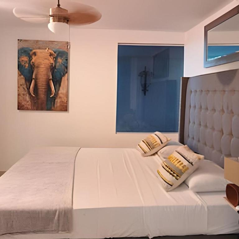 Studio apartment in the historic center - Apartment - 11