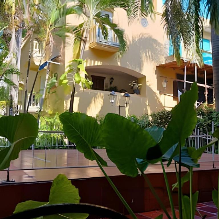 Studio apartment in the historic center - Apartment - 19