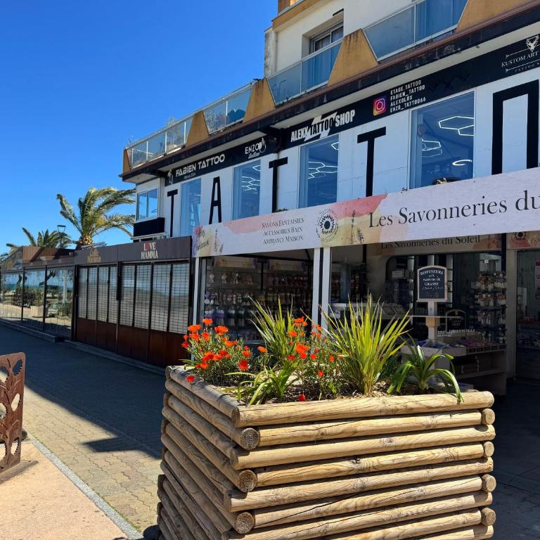 Les Pins d Argeles - Terrace - Beach within walking distance - Apartamento de 2 dormitorios - 15