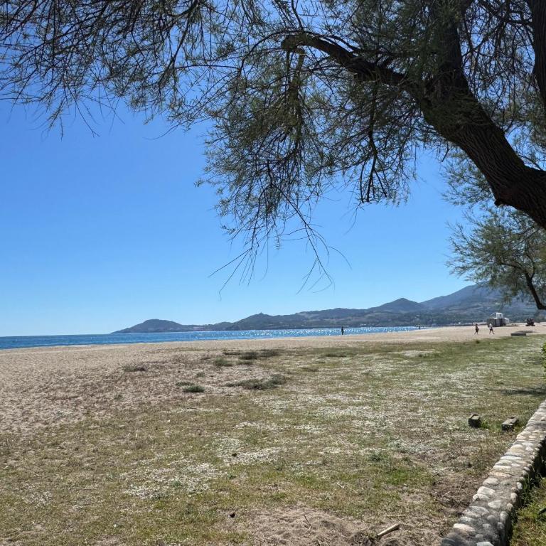 Les Pins d Argeles - Terrace - Beach within walking distance - Apartamento de 2 dormitorios - 17