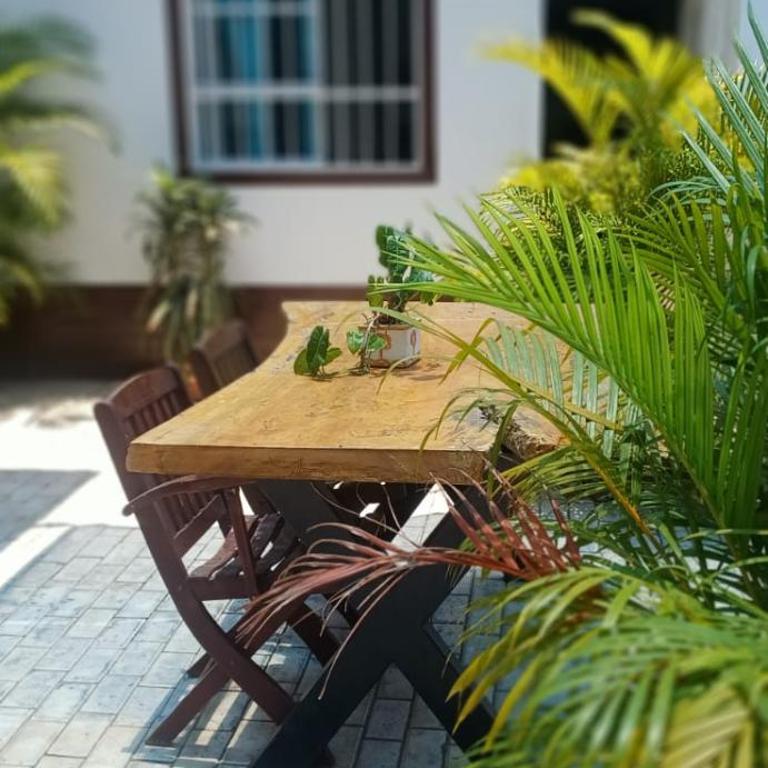 Hostal Casa del Palmar - Apartment with Garden View - 1