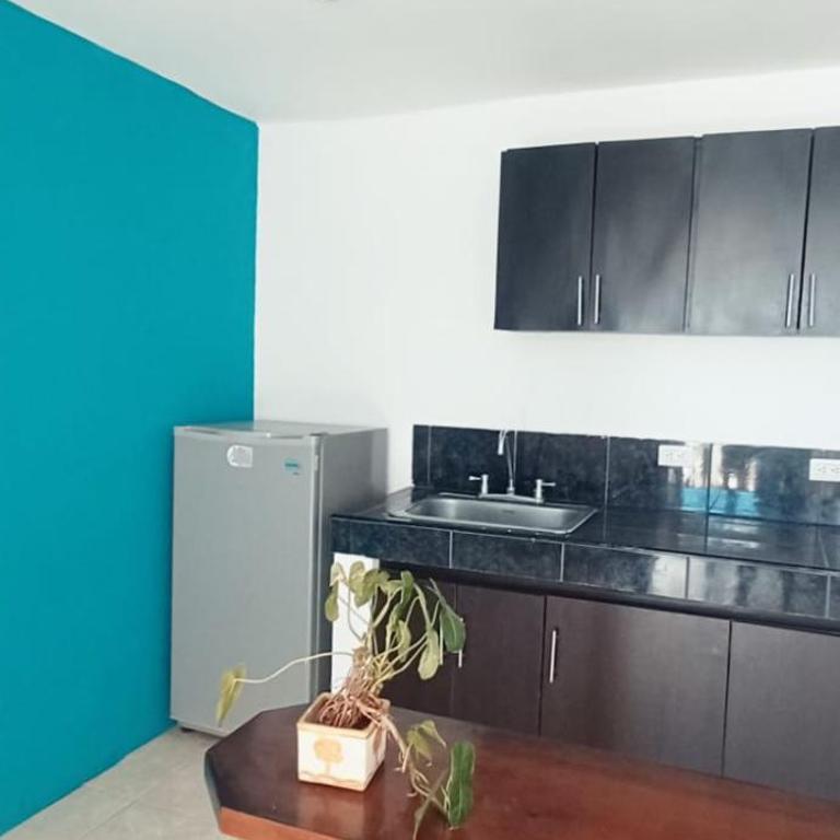 Hostal Casa del Palmar - Apartment with Garden View - 4