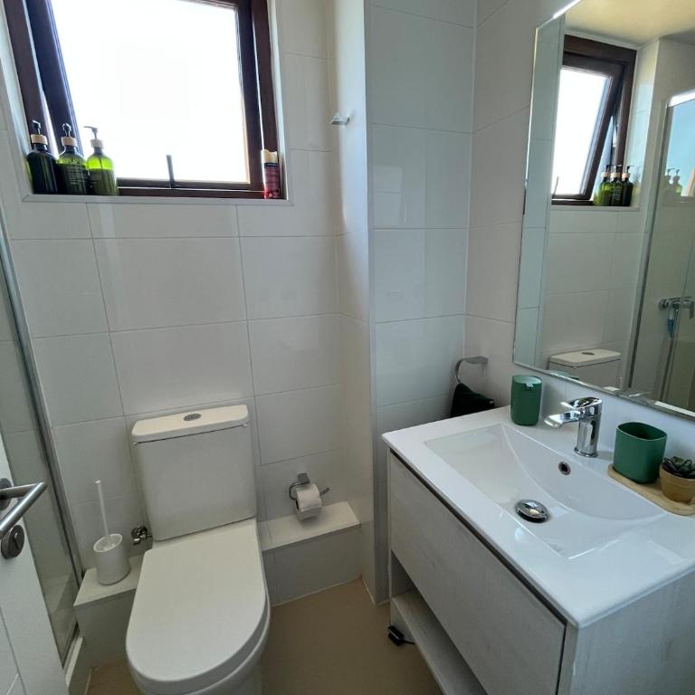 Nuevo y Acogedor Departamento 1D1B WiFi y Parking - One-Bedroom Apartment - 3