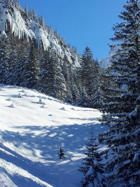 Haus Schönblick - Appartamento con Vista Montagna - 11