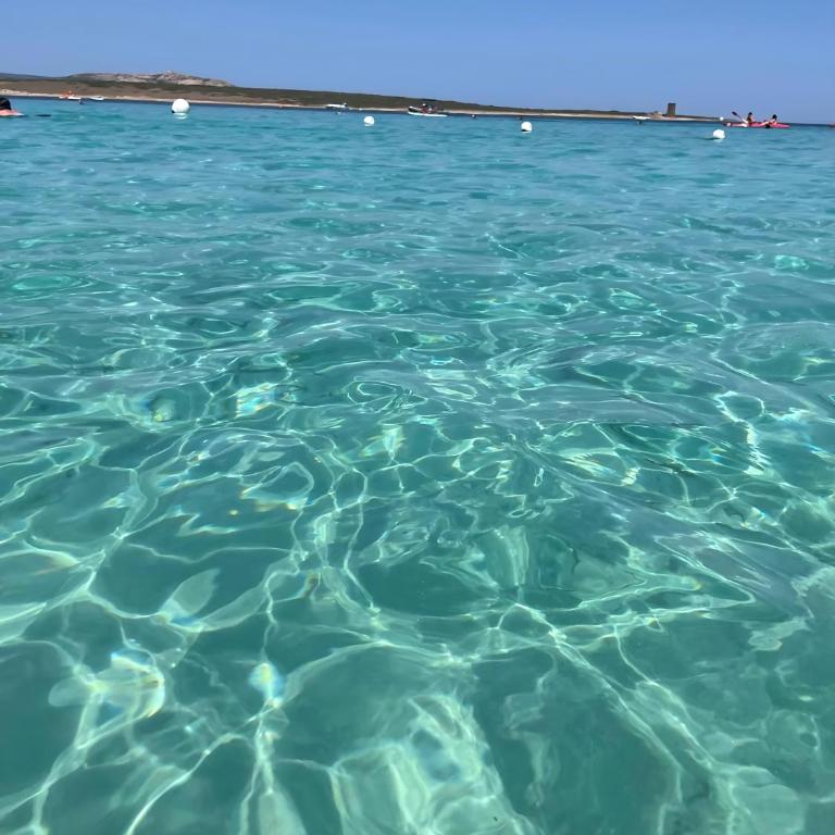 Seaside Escape to Alghero in Sardinia - Two-Bedroom House - 43