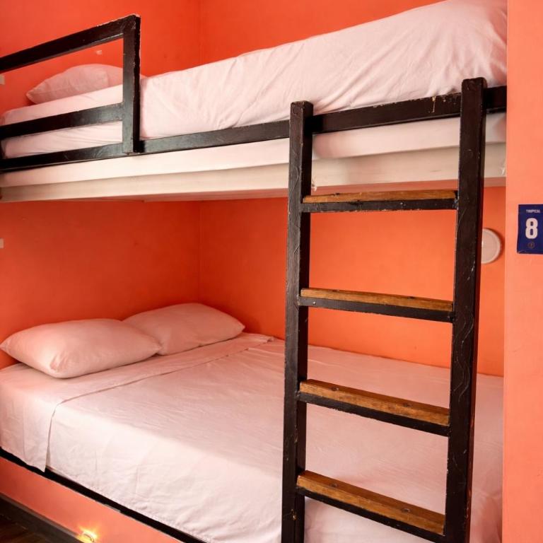 Seven Nights Hostel Cartagena - Single Bed in Mixed Dormitory Room - 13