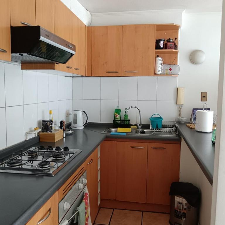 Central apartment in Santiago - Apartamento de 1 dormitorio - 16