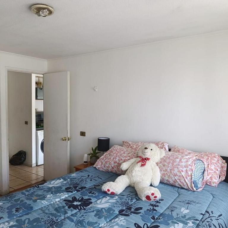 Central apartment in Santiago - Apartamento de 1 dormitorio - 41