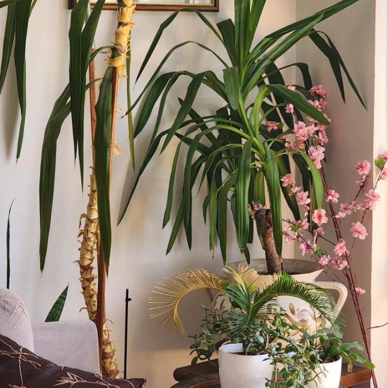 The Best Location 130 m2 salon apartment - Two-Bedroom Apartment - 10