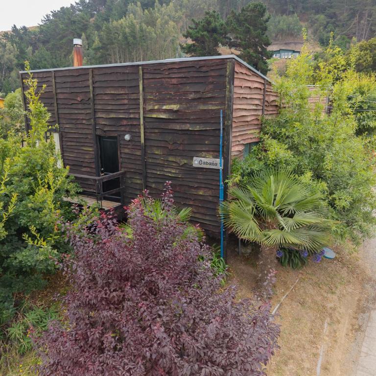 Lodge Los Bosques - Family Bungalow - 1