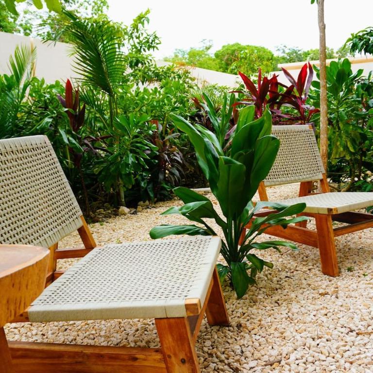 Jungle Loft 3 Camas 4 Pools Beach Club - Loft - 28