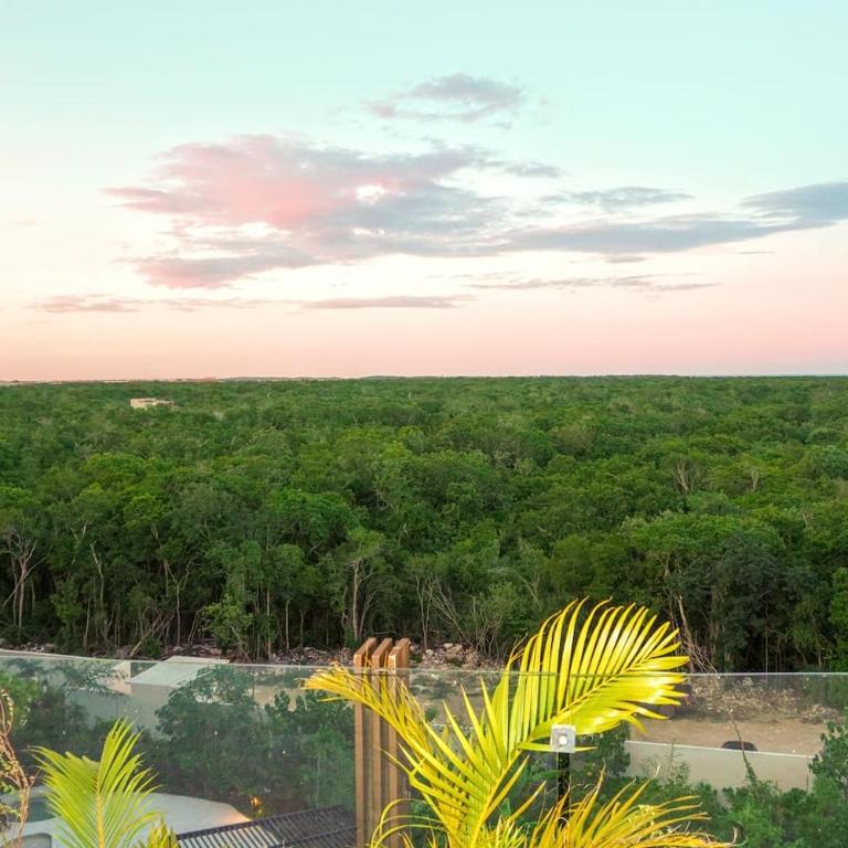 Jungle Loft 3 Camas 4 Pools Beach Club - Loft - 31