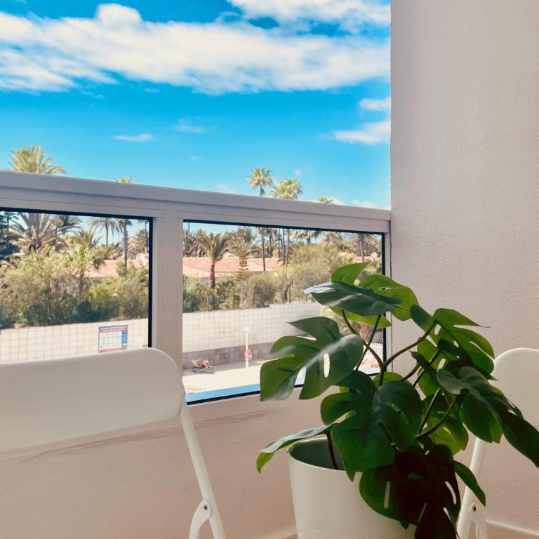 Click&Guest - Golden Stay in Maspalomas - Apartment with View and Balcony - 4