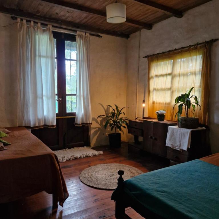 Refugio natural con entrada privada - Apartamento de 1 dormitorio - 3