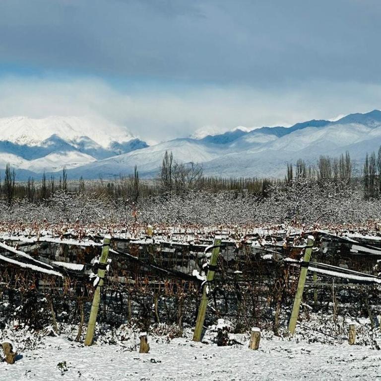 Alojamiento en Tupungato, Mendoza - Vacation Home - 25