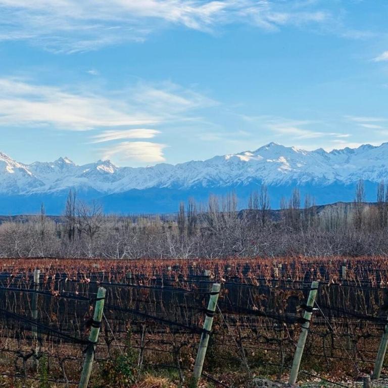Alojamiento en Tupungato, Mendoza - Vacation Home - 26