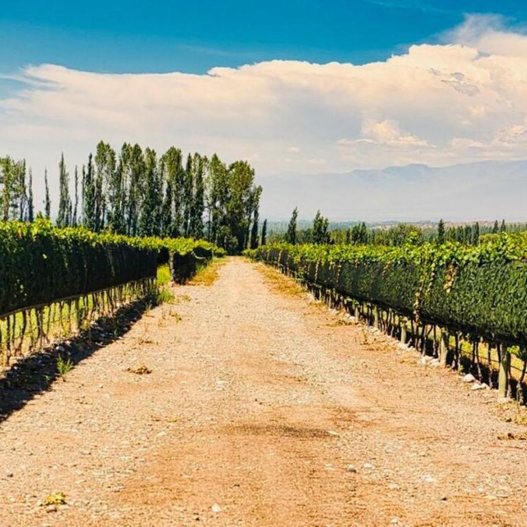 Alojamiento en Tupungato, Mendoza - Vacation Home - 28