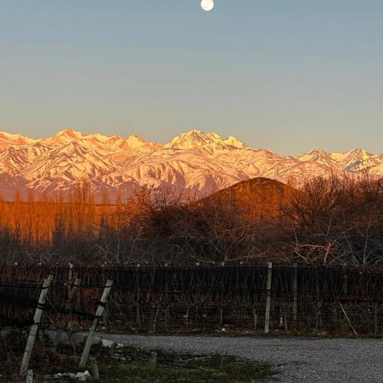 Alojamiento en Tupungato, Mendoza - Vacation Home - 30