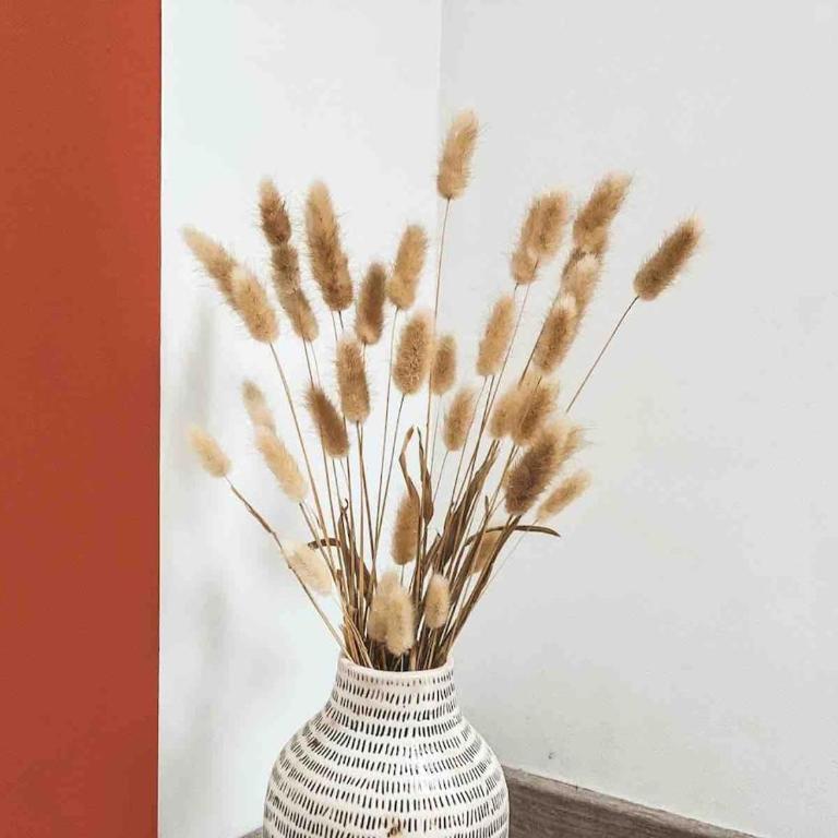 Charmant appartement, proche Jardin des Plantes - Apartamento de 2 dormitorios - 5