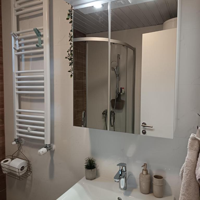 Orca Apartman - Apartman sa 1 Spavaćom Sobom - 13