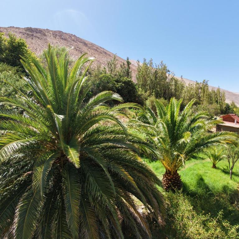 CASA DE LUZ TRES CRUCES PAiHUANO - Two-Bedroom Chalet - 5
