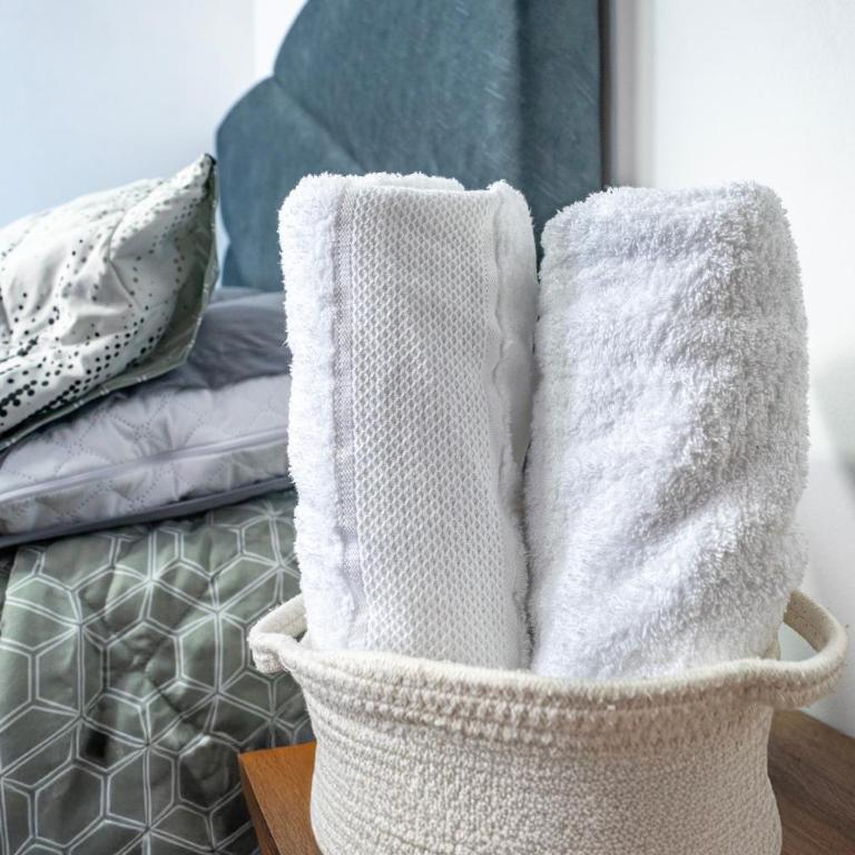 Micron Rentals - One-Bedroom Apartment - 11