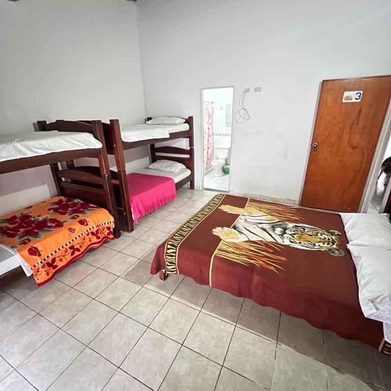 Alegría Lodge - Habitación Familiar con terraza - 2