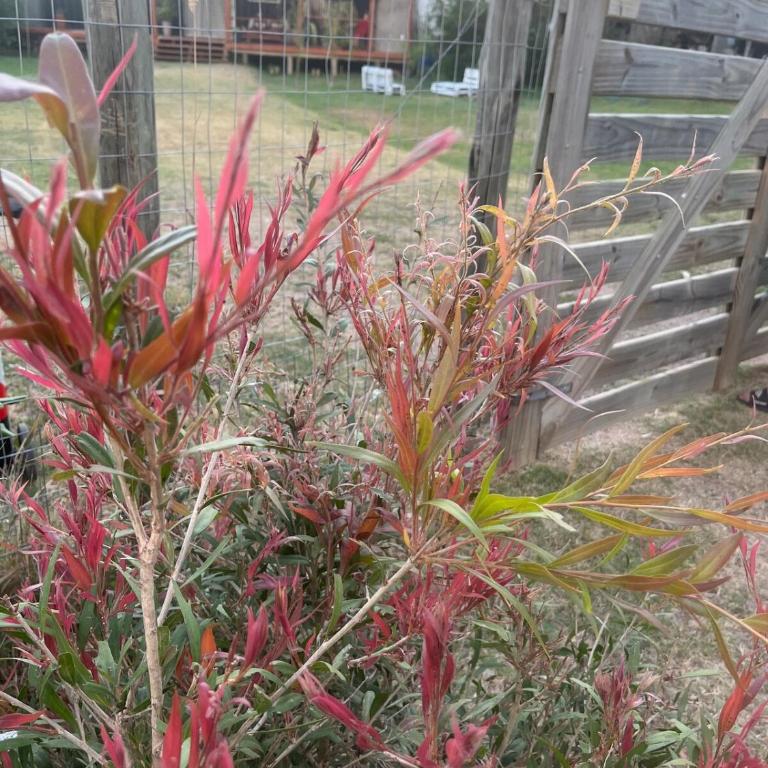 Casa con amplio deck y barbacoa en Punta Pinar - Two-Bedroom House - 5